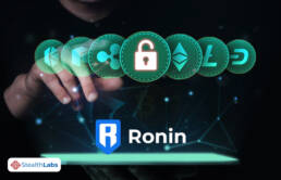 Ronin Network Crypto Heist